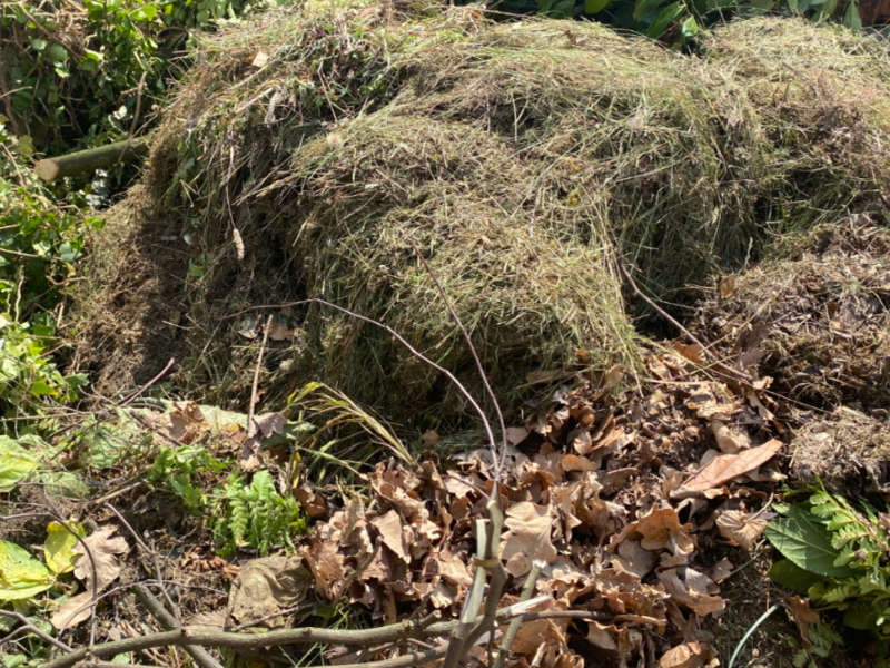 Grünabfall - 02
